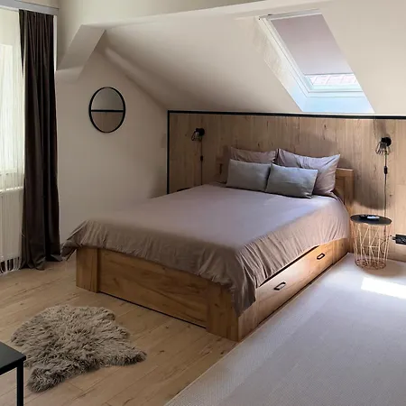 Villa Tampa - Free Parking In The Old Town Brasov-3